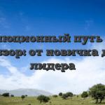 Эволюционный путь 1win обзор: от новичка до лидера