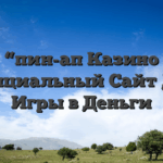 “пин-ап Казино Официальный Сайт Для Игры в Деньги
