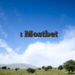 প্রাথমিক নির্দেশিকা: Mostbet দিয়ে কিভাবে টাকা ইনকাম করা যায়