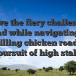 Brave the fiery challenges ahead while navigating the thrilling chicken road in pursuit of high stak