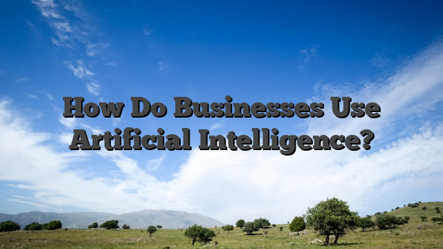 How Do Businesses Use Artificial Intelligence?