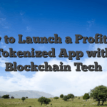 How to Launch a Profitable Tokenized App with Blockchain Tech