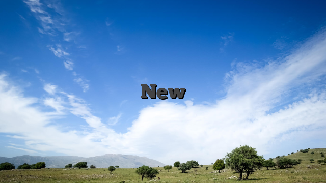 New