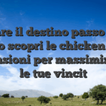 Sfidare il destino passo dopo passo scopri le chicken road recensioni per massimizzare le tue vincit