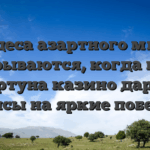 Чудеса азартного мира открываются, когда плей фортуна казино дарит шансы на яркие победы!