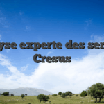 Analyse experte des services Cresus