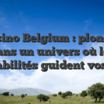 Casino Belgium : plongez dans un univers où les probabilités guident vos jeux