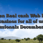Top ten Real cash Web based casinos for all of us Professionals December 2024