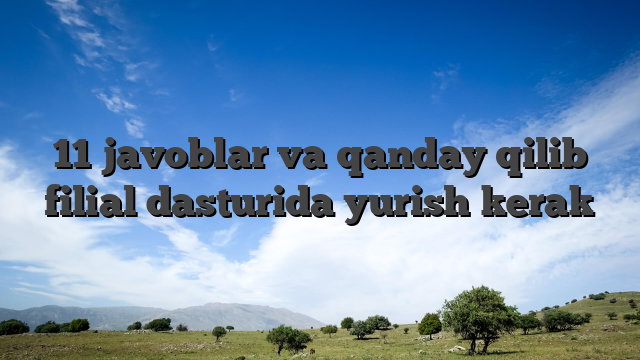 11 javoblar va qanday qilib filial dasturida yurish kerak