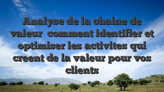 Analyse de la chaine de valeur   comment identifier et optimiser les activites qui creent de la valeur pour vos clients