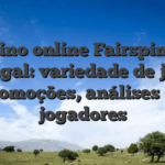Casino online Fairspin em Portugal: variedade de jogos, promoções, análises de jogadores
