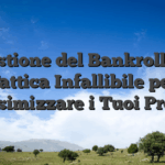 Gestione del Bankroll La Tattica Infallibile per Massimizzare i Tuoi Profitti