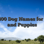 Top 400 Dog Names for Dogs and Puppies