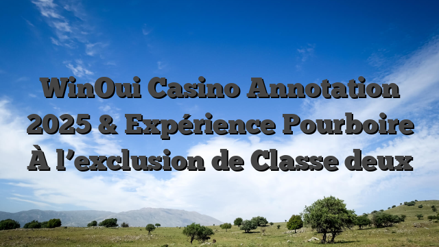 WinOui Casino Annotation 2025 & Expérience Pourboire À l’exclusion de Classe deux
