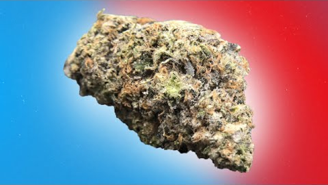 Grass Birth Same-time Marijuana Birth in the New york