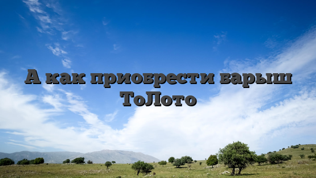 А как приобрести барыш ТоЛото