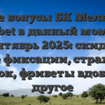 Все бонусы БК Мелбет Melbet в данный момент сентябрь 2025: скидка выше фиксации, страховки ставок, фрибеты вдобавок другое