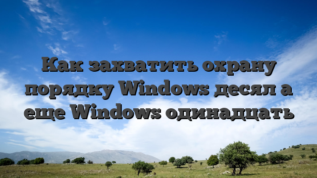 Как захватить охрану порядку Windows десял а еще Windows одинадцать