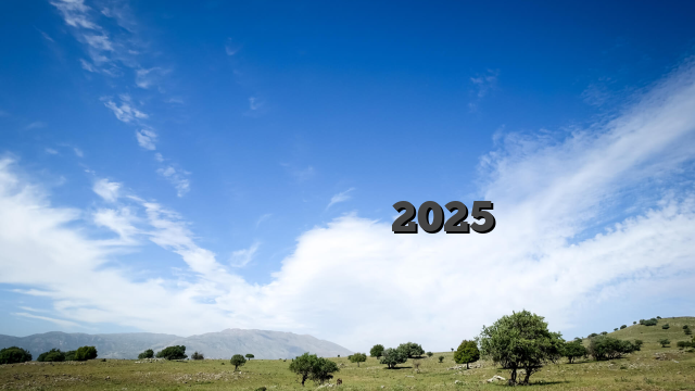 أفضل ألعاب الكازينو عبر الإنترنت حتى تتمكن من لعب ربح الصفقة الحقيقية 2025