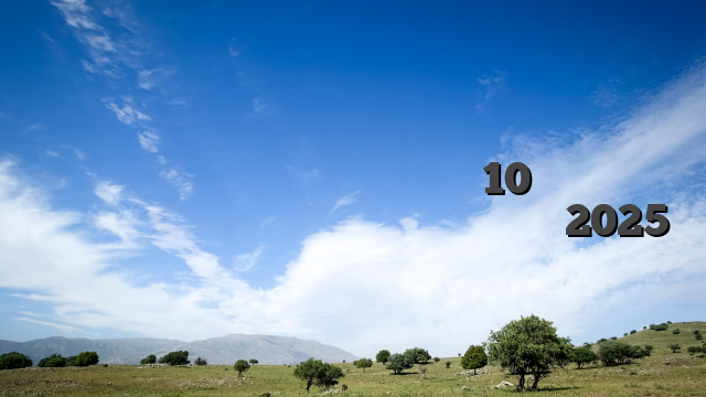 เว็บไซต์พนันคาสิโนชั้นนำ 10 อันดับแรกที่ให้ผลกำไรจริงในสหรัฐอเมริกา ปี 2025