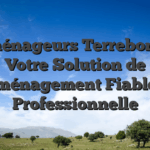 Déménageurs Terrebonne : Votre Solution de Déménagement Fiable et Professionnelle