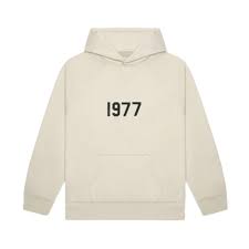Essentials hoodie
