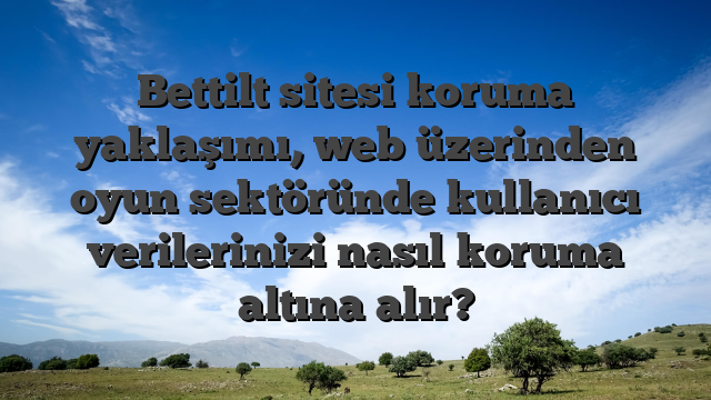 Bettilt sitesi koruma yaklaşımı, web üzerinden oyun sektöründe kullanıcı verilerinizi nasıl koruma altına alır?