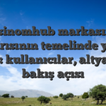 Casinomhub markasının başarısının temelinde yatan etken: kullanıcılar, altyapılar, bakış açısı