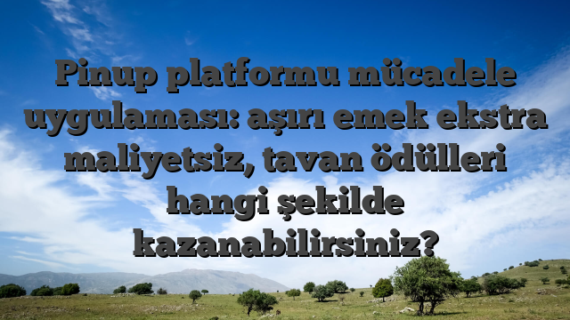 Pinup platformu mücadele uygulaması: aşırı emek ekstra maliyetsiz, tavan ödülleri hangi şekilde kazanabilirsiniz?