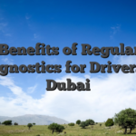 Top Benefits of Regular Car Diagnostics for Drivers in Dubai
