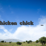 chicken 和chick有什么区别_百度知道