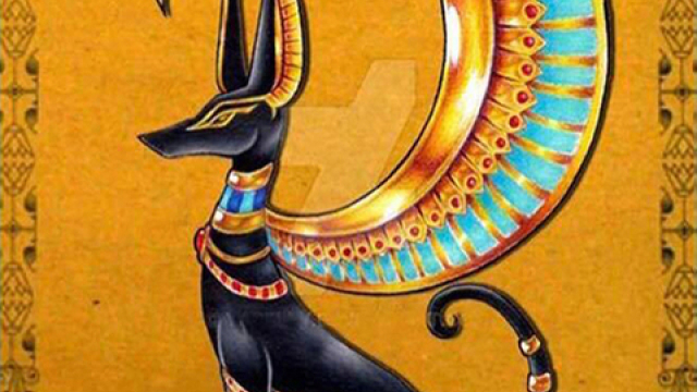 1xBet: গুগল প্লেতে অ্যাথলেটিক্স গেমিং এবং স্থানীয় ক্যাসিনো প্রোগ্রাম