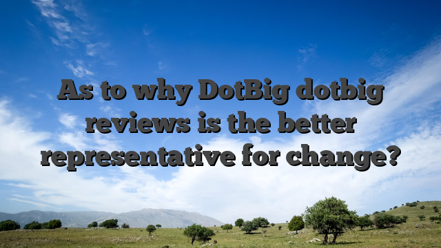 As to why DotBig dotbig reviews is the better representative for change?