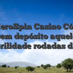 Ato HeroSpin Casino Códigos sem depósito aquele puerilidade rodadas dado