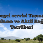 Bahsegel servisi Taşınabilir Uygulama ve Aktif Bağlantı Tecrübesi