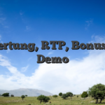 Bewertung, RTP, Bonus und Demo