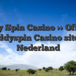 Buddy Spin Casino >> Officiële Buddyspin Casino site in Nederland