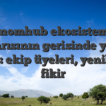 Casinomhub ekosisteminin başarısının gerisinde yatan etken: ekip üyeleri, yenilikler, fikir