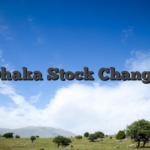 Dhaka Stock Change