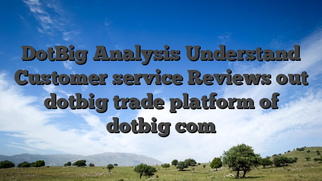 DotBig Analysis Understand Customer service Reviews out dotbig trade platform of dotbig com