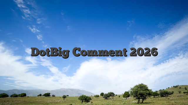 DotBig Comment 2026