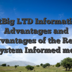 DotBig LTD Information: Advantages and disadvantages of the Replace System Informed me :