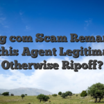 Dotbig com Scam Remark: So is this Agent Legitimate Otherwise Ripoff?
