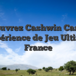Découvrez Cashwin Casino : L’Expérience de Jeu Ultime en France