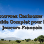 Découvrez Casinozer : Le Guide Complet pour les Joueurs Français