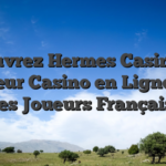 Découvrez Hermes Casino : Le Meilleur Casino en Ligne pour les Joueurs Français