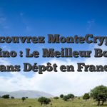 Découvrez MonteCrypto Casino : Le Meilleur Bonus Sans Dépôt en France