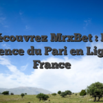 Découvrez MrxBet : La Référence du Pari en Ligne en France