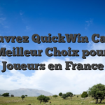 Découvrez QuickWin Casino : Le Meilleur Choix pour les Joueurs en France