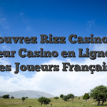 Découvrez Rizz Casino : Le Meilleur Casino en Ligne pour les Joueurs Français